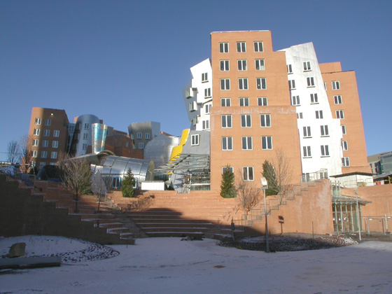 mit.jpg