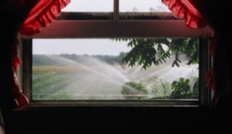 irrigation.jpg
